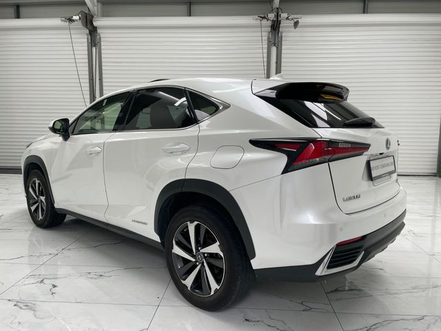 Image for 2020 Lexus NX 300h Sport FWD