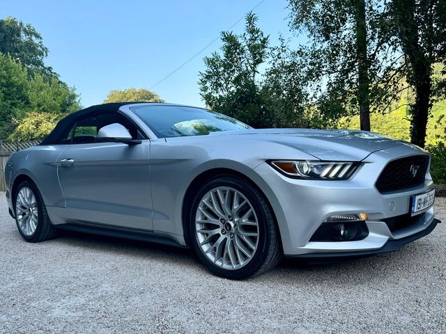 Image for 2019 Ford Mustang *Sale Agreed*nCONVERTIBLE 