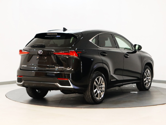 Image for 2020 Lexus NX *96* 300H