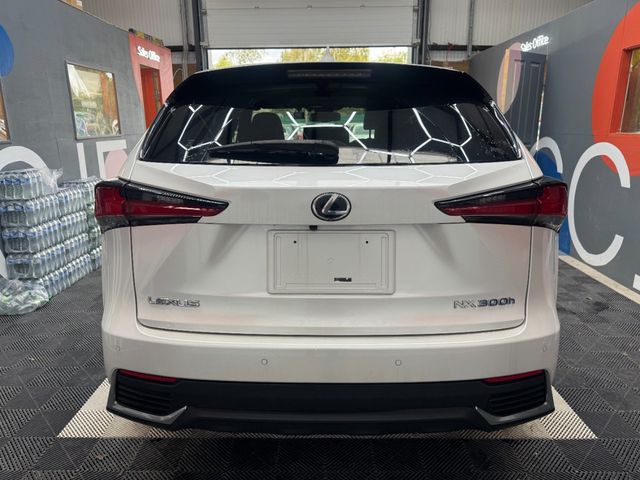 Image for 2020 Lexus NX 300h 2020 LEXUS NX 300H / CRUISE CONTROL / PARKING CAMERA / ELECTRIC MEMORY & HEATED SEATS / PADDLE SHIFTERS / AMBIENT LIGHTS