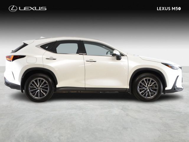 Image for 2024 Lexus NX Executive