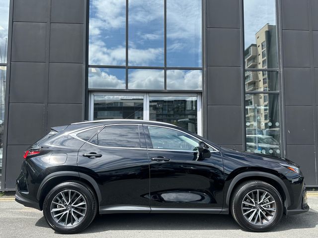 Image for 2025 Lexus NX 450H+ Premium Auto (PHEV)