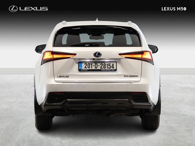 Image for 2020 Lexus NX Executive