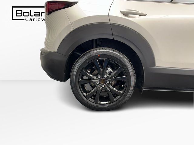 Image for 2025 Mazda CX-30 2.0 SKY-X HOMURA *IN STOCK* €95 P/W 3YRS