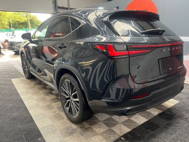 Image for 2023 Lexus NX 2023 LEXUS NX350H L 2.5 AUTOMATIC / CRUISE CONTROL / 360 CAMERA / ELECTRIC MEMORY & HEATED SEATS / HEATED REAR SEATS AND MORE