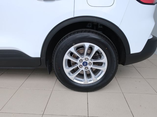 Image for 2020 Ford Kuga 1.5 EcoBlue 120PS Titanium