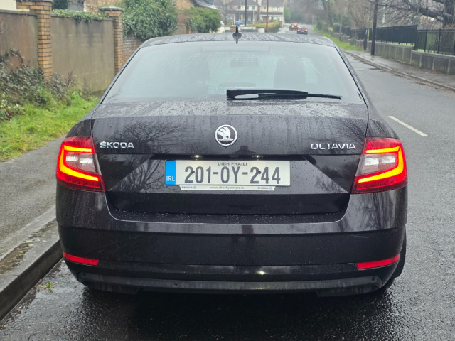 Image for 2020 Skoda Octavia AMB 1.0tsi 115HP 4DR