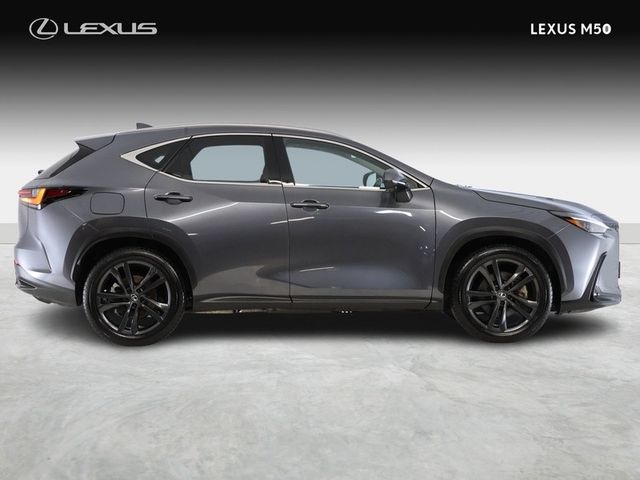 Image for 2025 Lexus NX 450H+ Premium