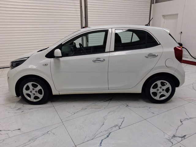 Image for 2019 Kia Picanto 1.2 Auto
