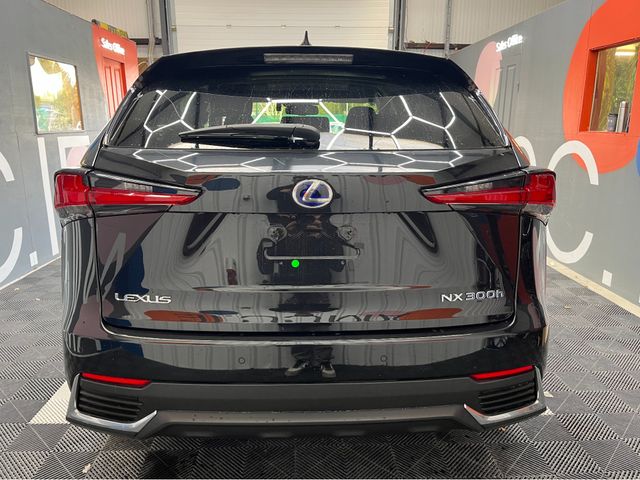 Image for 2019 Lexus NX 300h €33950 2019 LEXUS NX300H I PACKAGE 2.5 AUTOMATIC / CRUISE CONTROL / 360° CAMERA / ELECTRIC MEMORY & HEATED SEATS / PADDLE SHIFTERS / HEATED STEERING WHEEL AND MORE
