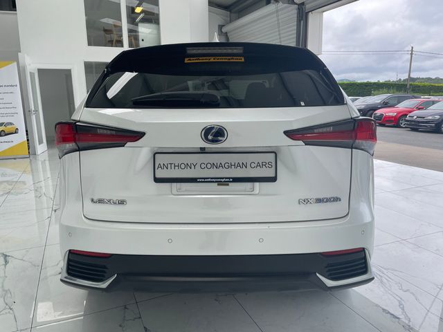 Image for 2019 Lexus NX 