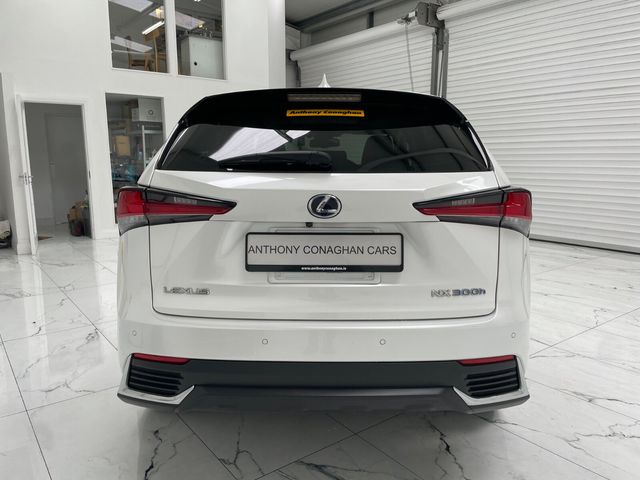 Image for 2020 Lexus NX 300h Sport FWD