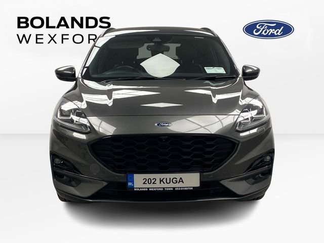 Image for 2020 Ford Kuga Kuga St-Ln First Ed Eblue Mhev ST-Line First Edition EcoBlue 150 2WD MHEV Start/Stop