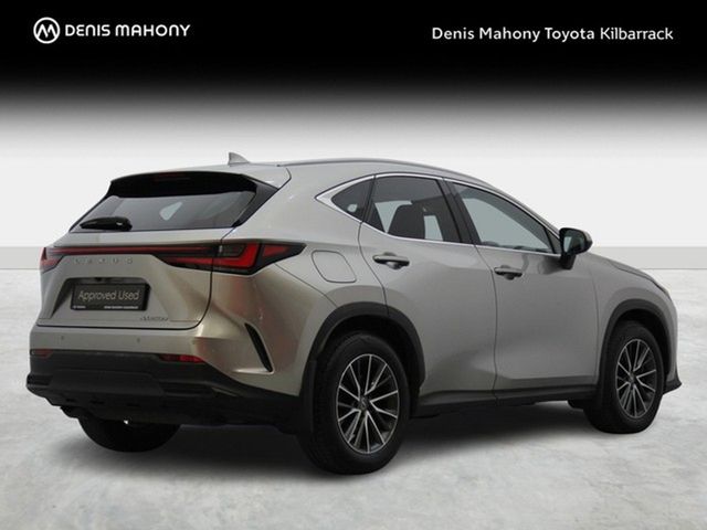 Image for 2024 Lexus NX 300h NX450h+ Executive AWD