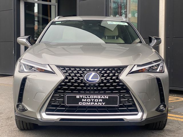 Image for 2021 Lexus UX 300e Luxury EV Auto 