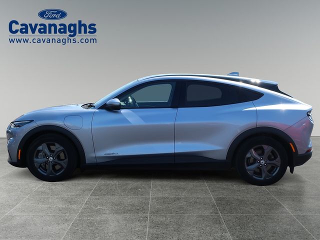 Image for 2024 Ford Mustang Mach-e RWD 70kWh (75kWh) Standard Range Select