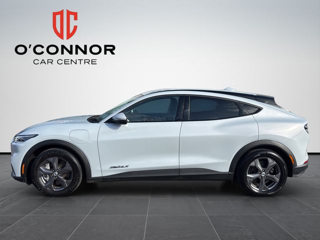 Image for 2023 Ford Mustang Mach-e Mach-e RWD 4DR Auto