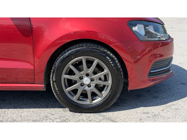 Image for 2016 Volkswagen Polo TSI ComfortLine