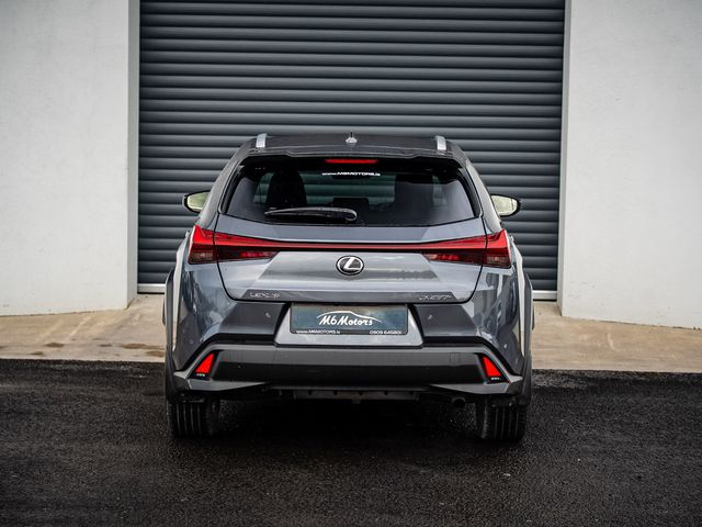 Image for 2023 Lexus UX 250H 250H Dynamic 4DR Auto