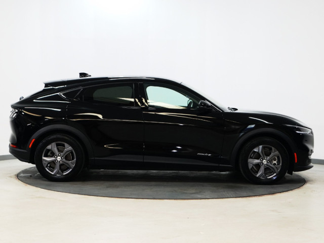 Image for 2024 Ford Mustang Mach-e *91* 