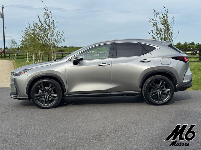 Image for 2023 Lexus NX 450H+ PLUS PREMIUM PACK