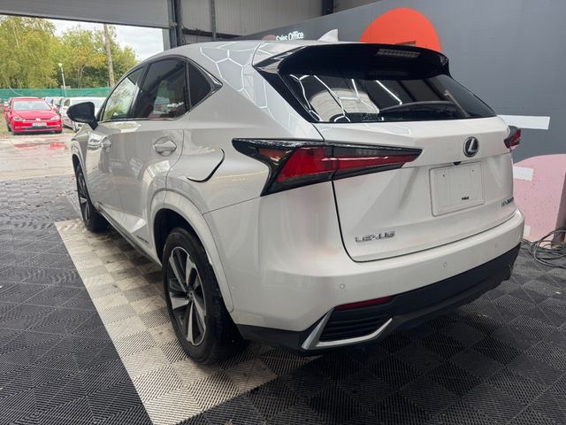 Image for 2020 Lexus NX 300h 2020 LEXUS NX 300H / CRUISE CONTROL / PARKING CAMERA / ELECTRIC MEMORY & HEATED SEATS / PADDLE SHIFTERS / AMBIENT LIGHTS