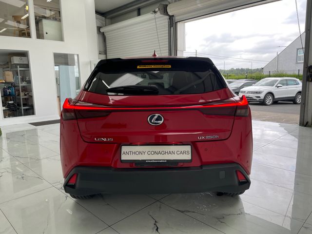 Image for 2021 Lexus UX 250H UX 250h Dynamic