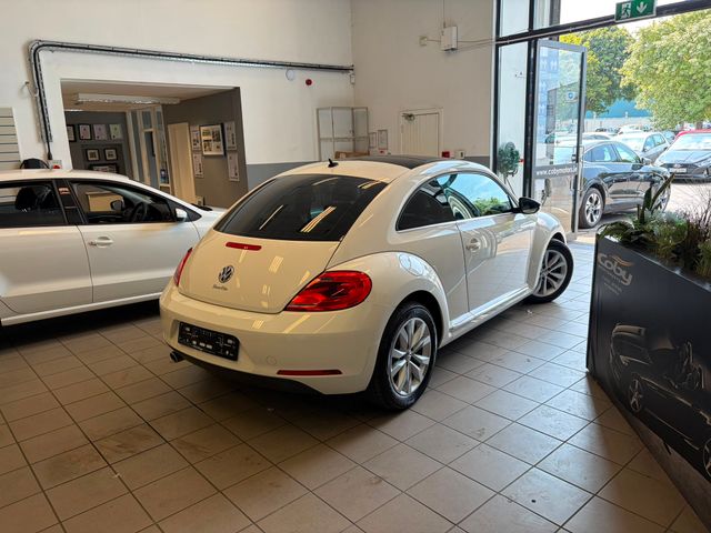 Image for 2012 Volkswagen Beetle 1.2 Auto 3DR. New NCT done before collection, Full Leather, Sun Roof, Alloy Wheels, Heated Seats, Full Electrics, MFSW, Dual Climate Control, AUX, Luggage Cover, Handsfree, and more.