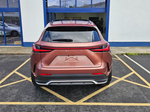 Image for 2025 Lexus NX 450H+ TOP OF RANGE