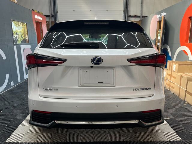 Image for 2019 Lexus NX 300h 2019 LEXUS NX300H BLACK SEQUENCE 2.5 AUTOMATIC / CRUISE CONTROL / PARKING CAMERA / ELECTRIC MEMORY & HEATED SEATS / PADDLE SHIFTERS / HEATED STEERING WHEEL AND MORE