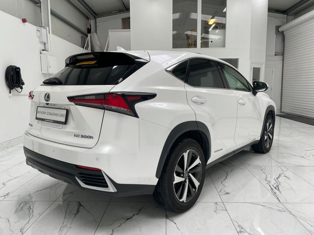 Image for 2020 Lexus NX 300h Sport FWD