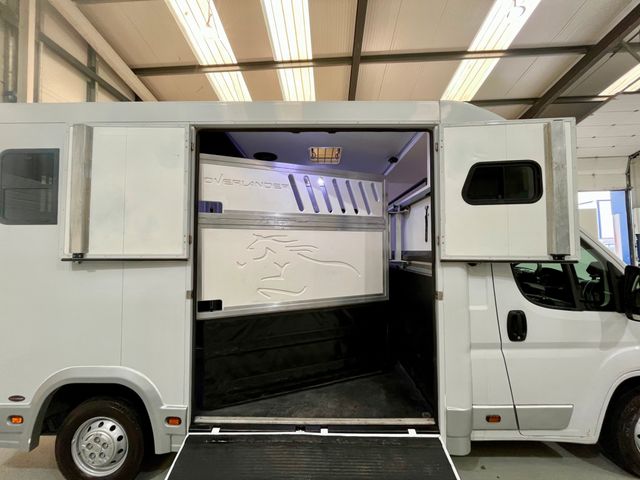 Image for 2019 Fiat Ducato 35 Maxi Multijet 11 4DR