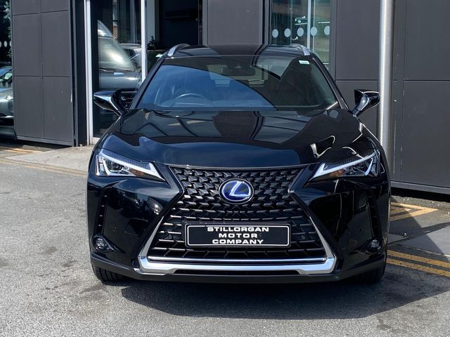 Image for 2022 Lexus UX 300e EV Auto 